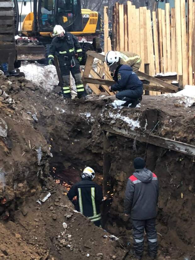 Трех щенков вытащили из опорной трубы на Полбина с помощью экскаватора и бензореза