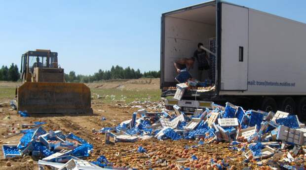 три года назад Россия ввела продуктовые контрсанкции против стран Запада»