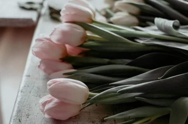 Мужчинам объяснили, как правильно приносить в офис цветы на 8 Марта