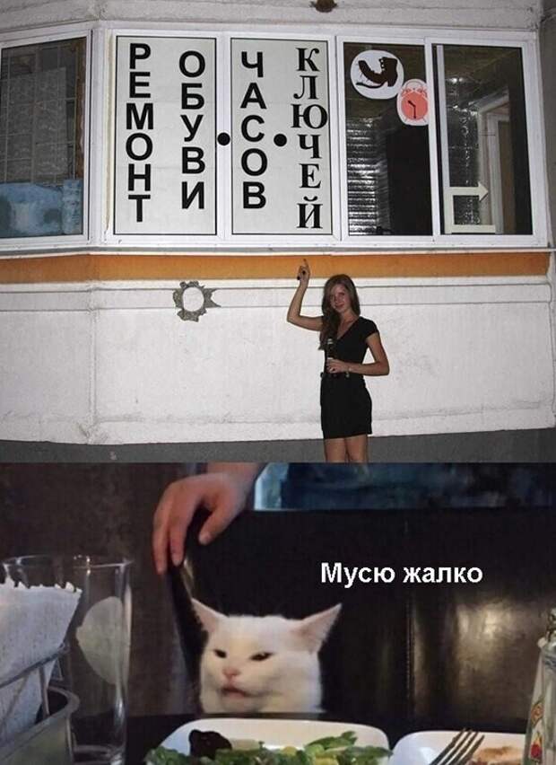 Смешные и познавательные картинки