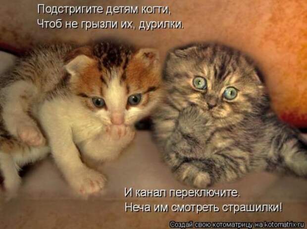Котоматрицы(картинки с надписями)