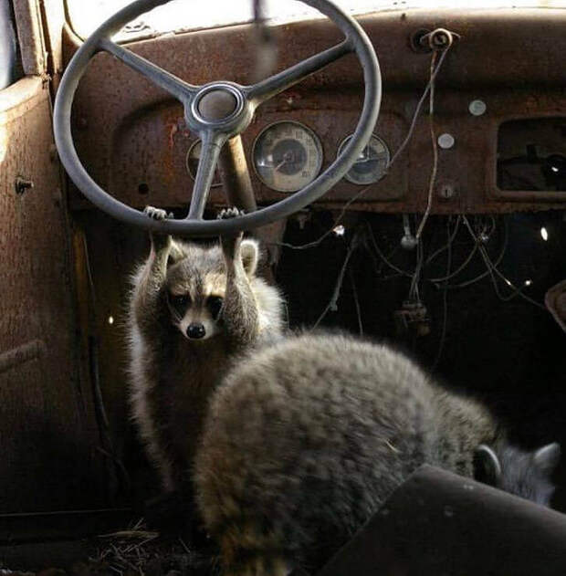 приколы 2021