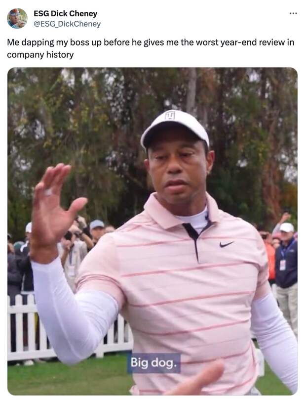 best of the Tiger Woods Big Dog meme