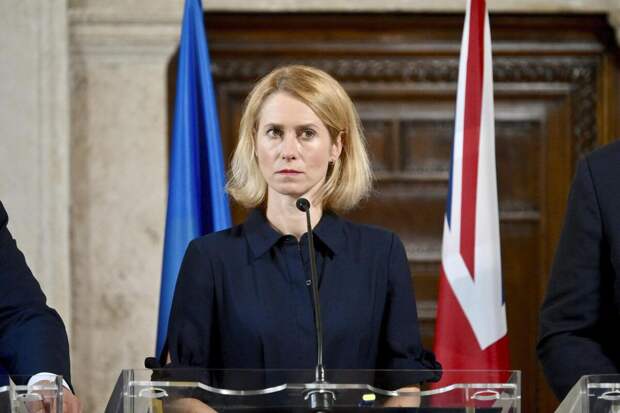 Бастрыкин: Каллас заочно обвинили в уничтожении советских памятников