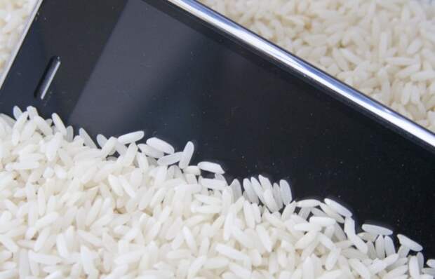 Мастера-ремонтники смартфонов разоблачили популярный «лайфхак» с просушкой гаджета рисом