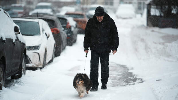 Морозы не отступают: синоптики дали прогноз на февраль