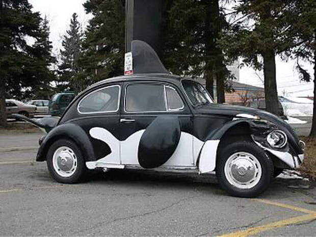 VW Жук авто, жук