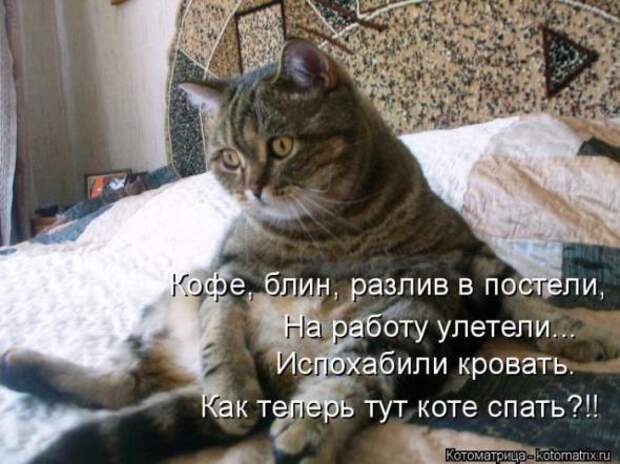 Котоматрицы(картинки с надписями)