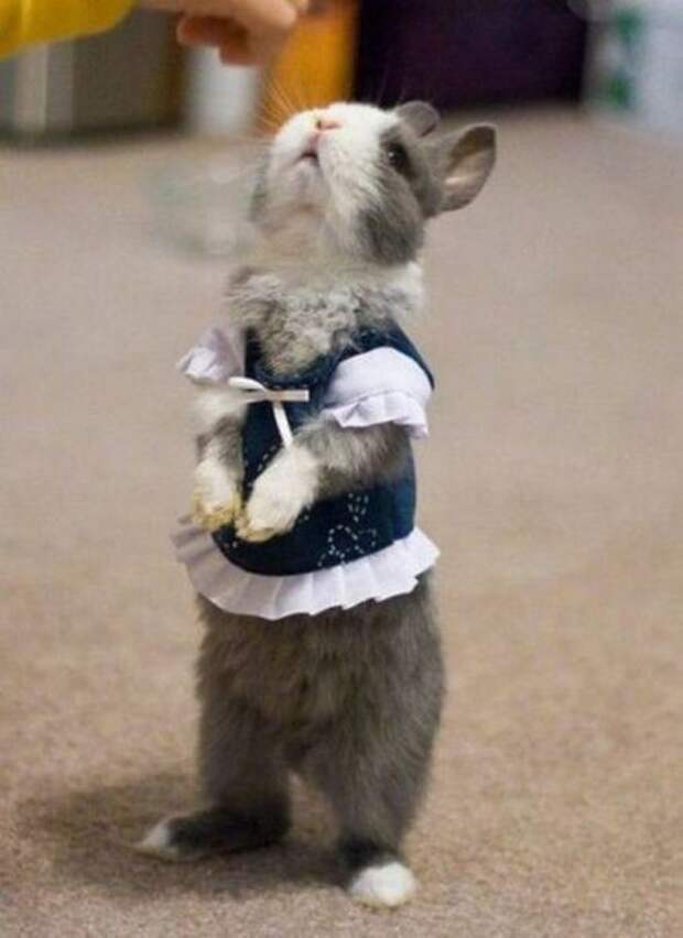 Давайте улыбаться вместе! :)