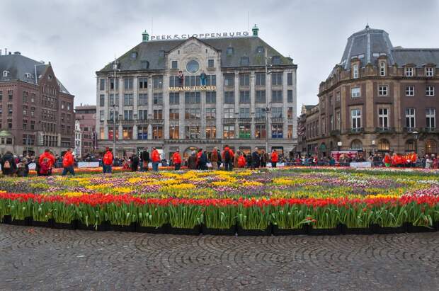 Амстердам в цифрах и фотографиях Amsterdam04 Амстердам в цифрах и фотографиях