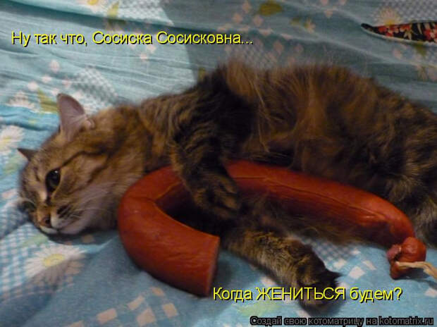 kotomatritsa_W (1) (700x524, 373Kb)