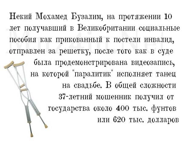 Глупые мировые новости в картинках (20 фото)