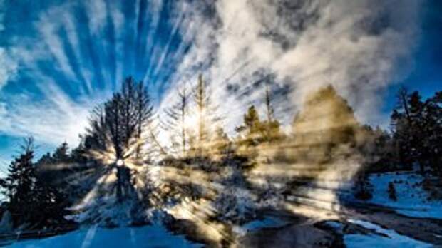 Фото: pixabay.com