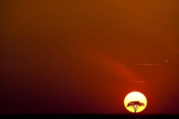 afrikanskie zakaty 1 Потрясающие африканские закаты от Пола Гольдштейна