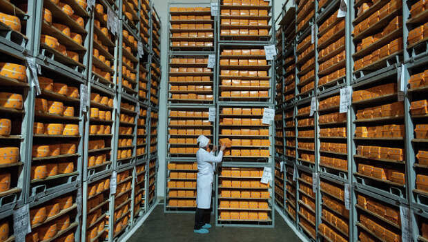Головы сыра на складе предприятия в Черниговской области Украины. Архивное фото.