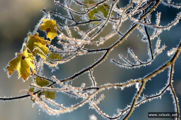 october_030 october_030