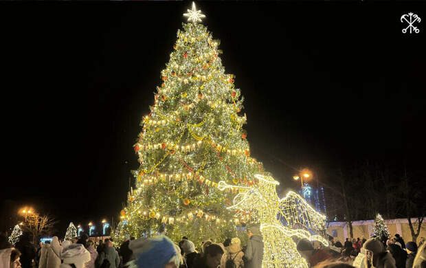 Кронштадтская новогодняя ель стала победителем всероссийского конкурса "Ёлки России"