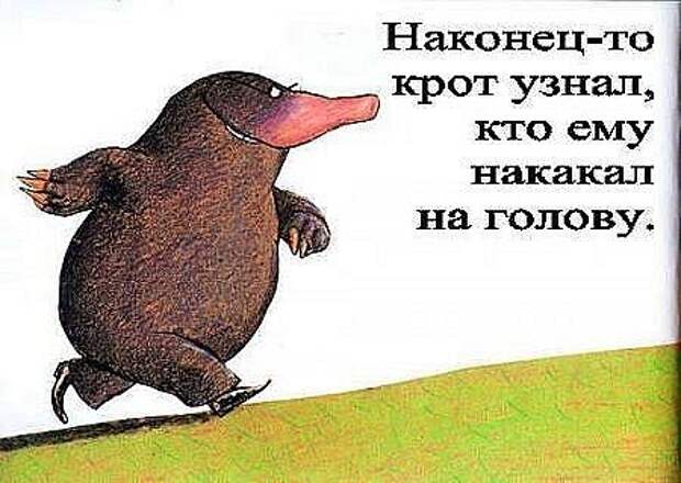 Неприятность с кротом