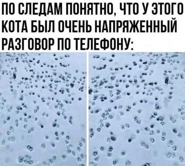 Лучшие шутки и мемы из Сети