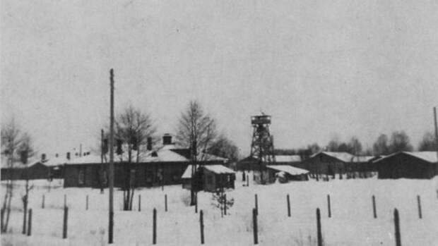 Геноцид и оккупация