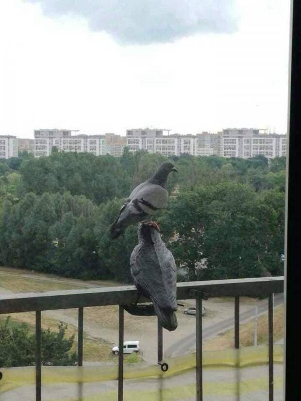 Прикольные картинки абавсём:D