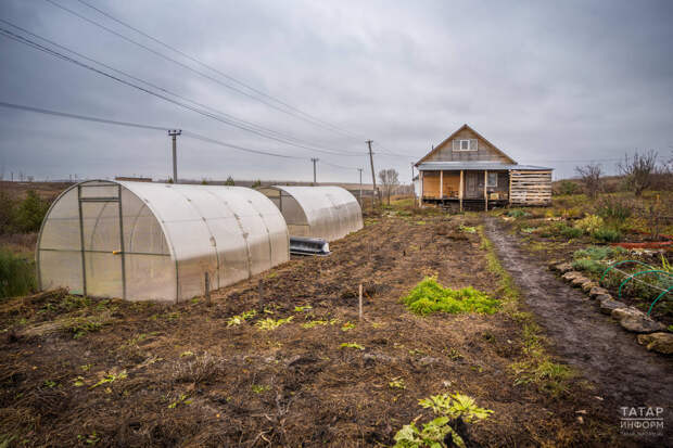 Юрист объяснил, нужно ли согласовывать с соседями по даче ремонт на своем участке