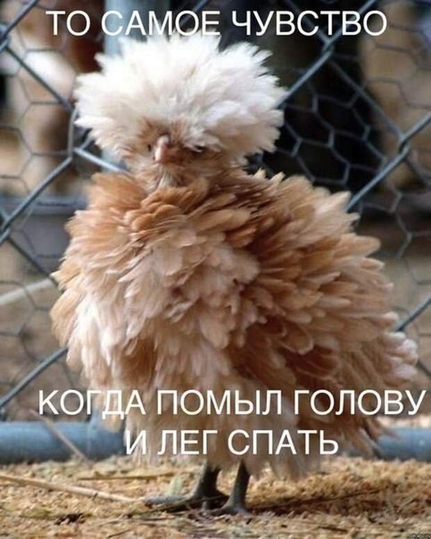 Всяко - разно 21 ))) Всяко - разно 21 )))