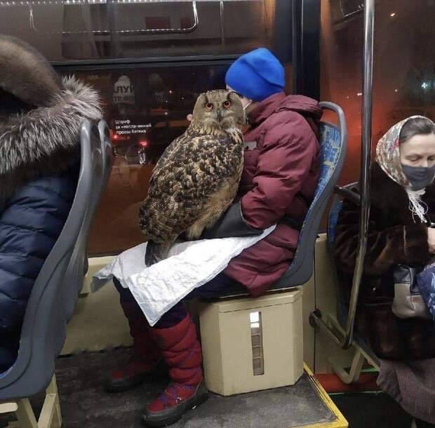 Подборка прикольных картинок