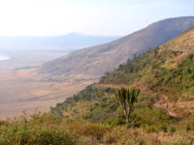 Клуб путешествий Павла Аксенова. Танзания. Gravel road leading  down to Ngorongoro crater. Фото tr3gi - Depositphotos