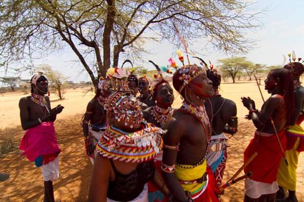 https://100dorog.ru/upload/images/articles/safari/Kenya-Rendile-bride.jpg