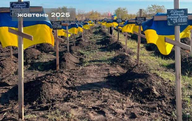 Аграрной сверхдержаве-кладбищу энергетика не нужна – киевский эксперт