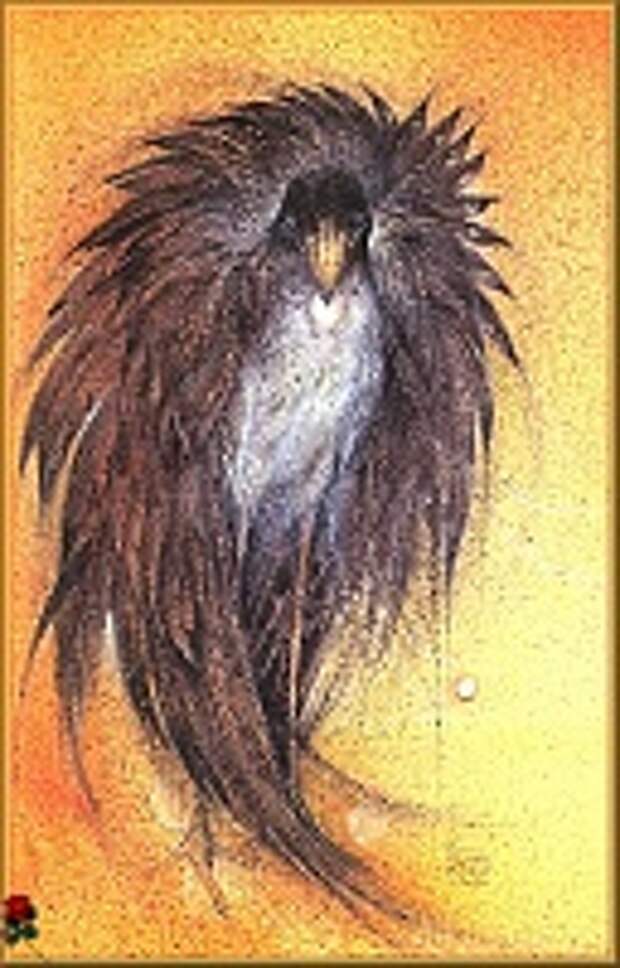 Susan Seddon Boulet 33