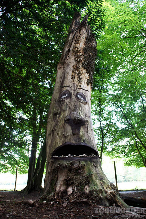 TreeProject14 Забавные лица в лесу