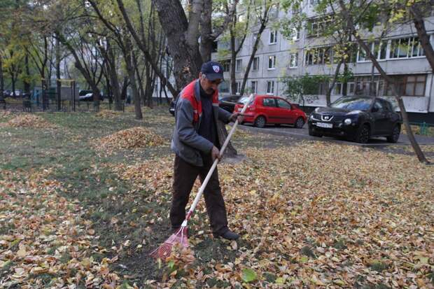 Куда и как сгребать листья в своём дворе, вы можете решить сами / Фото: Роман Балаев, «Звездный бульвар»