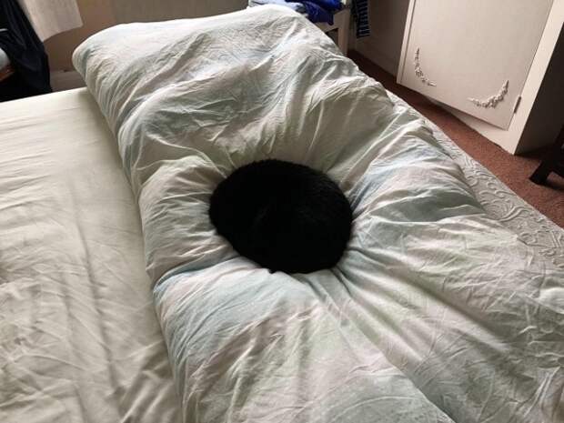 5-29