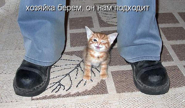 Позитивные картинки для хорошего настроения (12 фото) Позитивные картинки для хорошего настроения (12 фото)