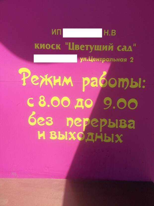 Эх, мне бы работать по одному из этих графиков-19 фото-