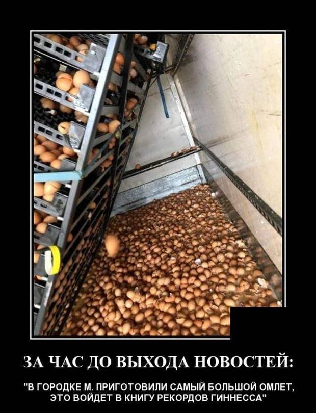 demotivatory-demotivator-smeshnye-demotivatory-demotivator-so-smyslom