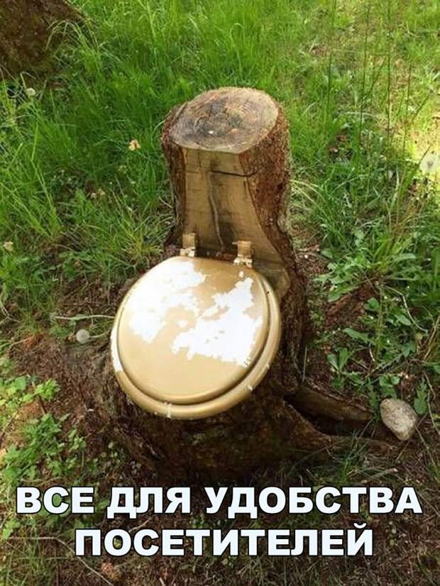 Свежие картинки и смешные фото с надписями (10 фото)