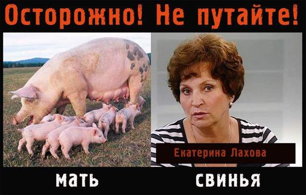 лах
