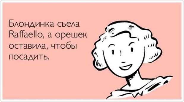 Подборка "аткрыток" Подборка "аткрыток" аткрытки, юмор