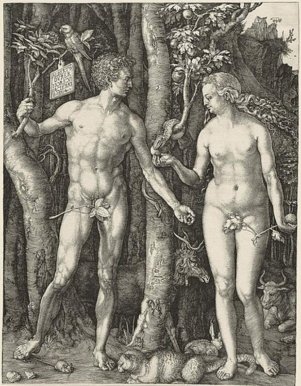 https://upload.wikimedia.org/wikipedia/commons/thumb/5/58/Adam_Eva%2C_Durer%2C_1504.jpg/450px-Adam_Eva%2C_Durer%2C_1504.jpg