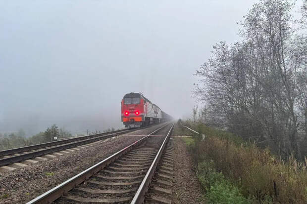 В Псковской области в результате подрыва повреждены железнодорожные пути