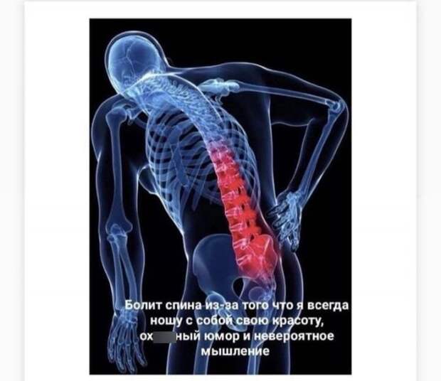 Лучшие шутки и мемы из Сети