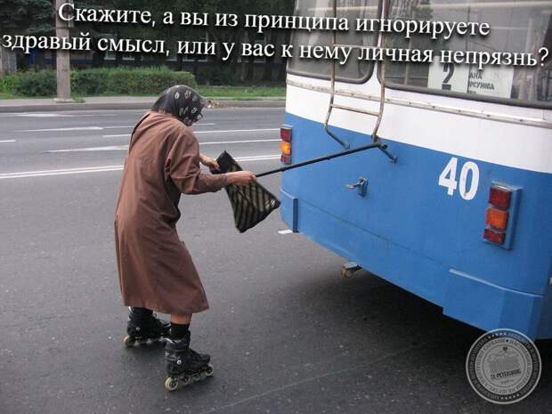 Здравый смысл
