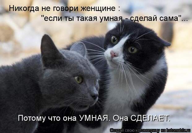 Котоматрица - Никогда не говори женщине : 