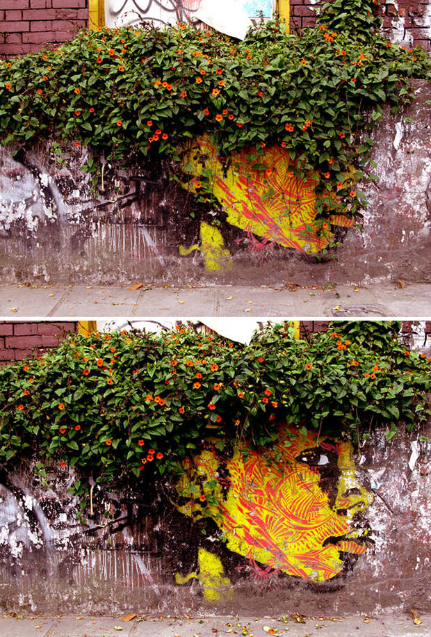 30. граффити, искусство, природа, стрит-арт, улица
