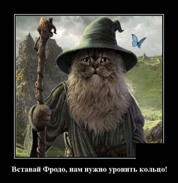 demotivatory-demotivator-smeshnye-demotivatory-demotivator-so-smyslom