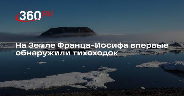 Директор парка «Русская Арктика»: на Земле Франца-Иосифа нашли тихоходок