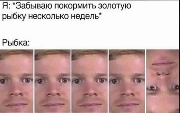 seti-shutki-memy-citaty-vkontakte-vkontakte-smeshnye-statusy